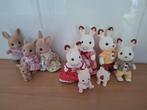 Sylvanian Family, 2 families konijn., Ophalen of Verzenden, Zo goed als nieuw, Poppenhuispop