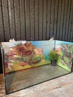 Terrarium / Aquarium, Ophalen, Gebruikt