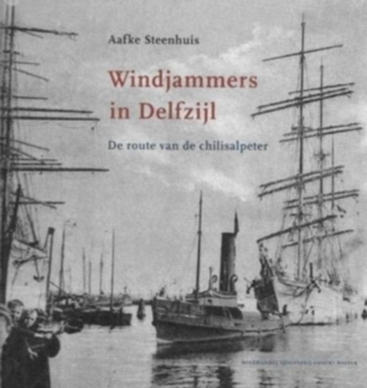 Aafke Steenhuis Windjammers in Delfzijl, Boeken, Kunst en Cultuur | Beeldend, Zo goed als nieuw, Schilder- en Tekenkunst, Ophalen of Verzenden