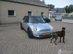 MINI Cooper Pepper 1.6 (bj 2005), Handgeschakeld, Benzine, Hatchback, Zilver of Grijs