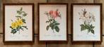 3x Bloemenkunst, afbeeldingen bloemen in lijst, Ophalen