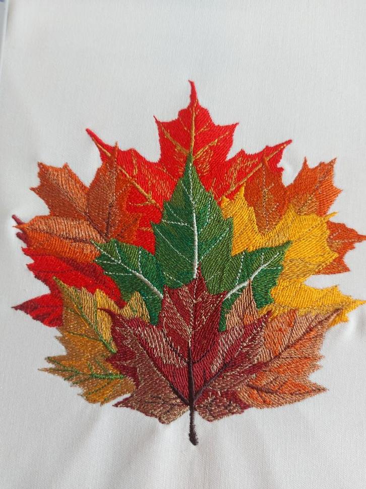 10 lapjes stof met prachtige geborduurde prints.
I, Hobby en Vrije tijd, Borduren en Borduurmachines, Nieuw, Ophalen of Verzenden