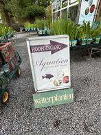 Vijverplanten in mand - Ruime keuze Limburg, Tuin en Terras, Vijvers, Ophalen, Nieuw