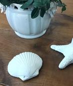 Betonnen schelp voor decoratie binnen of buiten, Ophalen of Verzenden, Zo goed als nieuw
