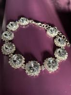 Honden sieraad bv chihuahua, Dieren en Toebehoren, Ophalen of Verzenden, Nieuw