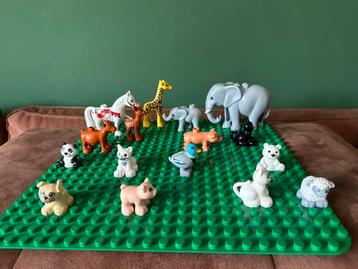 Duplo Dieren. 16 stuks! Zo goed als nieuw. beschikbaar voor biedingen