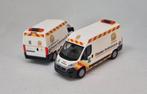 Fiat Ducato Dierenambulance Eigenbouw, Ophalen of Verzenden, Zo goed als nieuw, Auto, Overige merken