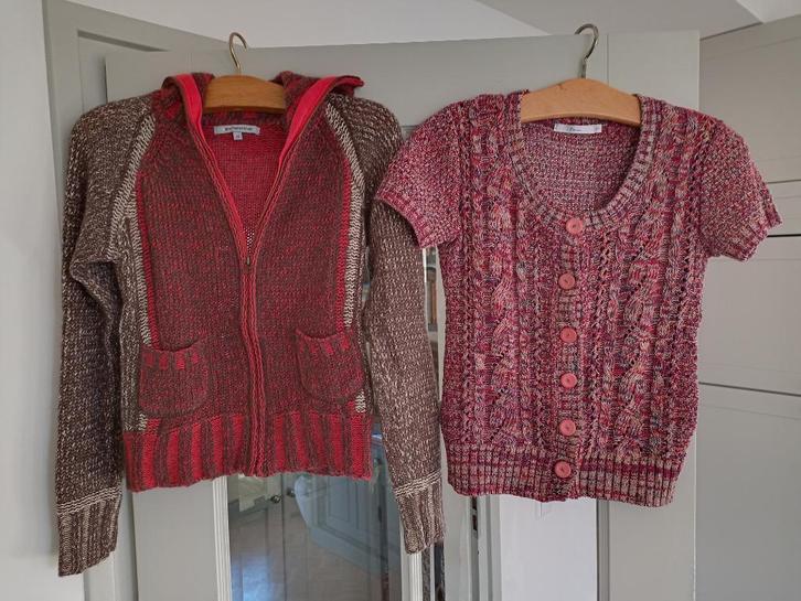 2 vestjes Miss Etam/Another woman bruin/rood, Kleding | Dames, Truien en Vesten, Gedragen, Rood, Ophalen of Verzenden