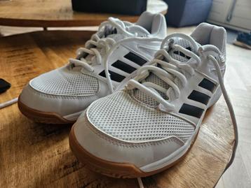 Adidas maat 38 2/3  (pasmaat  tussen 37 en 38) beschikbaar voor biedingen