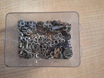 rondelles moertjes beschikbaar voor biedingen