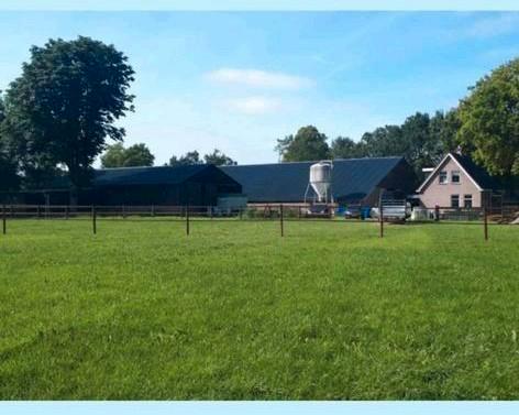 Stalling aangeboden in Een (Drenthe), Dieren en Toebehoren, Stalling en Weidegang, Stalling, Weidegang