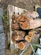 Taxus stammen, Ophalen