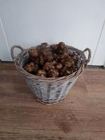 Aardperen 4 kg, Ophalen of Verzenden, Gehele jaar, Volle zon, Knol