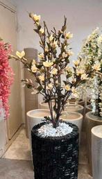 Prachtige vazen met magnolia bloesemboompje, Nieuw, Ophalen of Verzenden