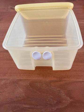 Tupperware Fruitbak beschikbaar voor biedingen