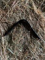 Wintec boom zwarte medium, Verzenden, Overige soorten