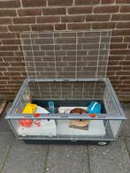 Kooi voor konijnen, cavia of hamsters, Dieren en Toebehoren, Kooi, Zo goed als nieuw, Cavia, Ophalen