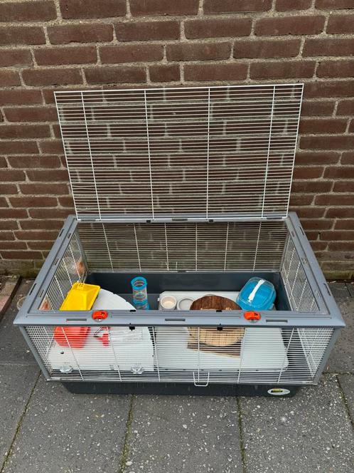 Kooi voor konijnen, cavia of hamsters, Dieren en Toebehoren, Knaagdieren en Konijnen | Hokken en Kooien, Zo goed als nieuw, Kooi