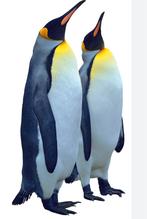 Te koop grote tas met een verzameling van  pinguïns, Zo goed als nieuw, Ophalen