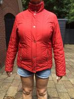 Rood Tommy Hilfinger jack net ritsen en steekzakken, Maat 42/44 (L), Ophalen of Verzenden, Gedragen, Rood