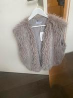 Penn en ink bodywarmer l, Ophalen of Verzenden, Nieuw, Maat 42/44 (L), Grijs