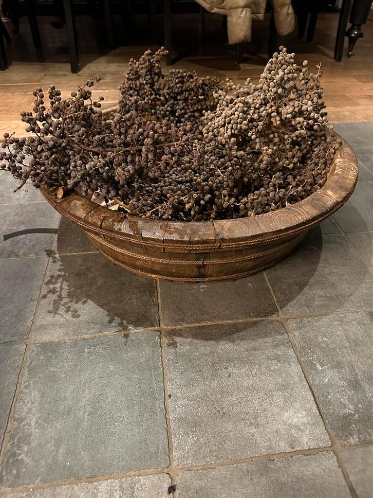 Diverse gedroogde dadeltakken te koop, Huis en Inrichting, Woonaccessoires | Droogbloemen, Zo goed als nieuw, Ophalen of Verzenden