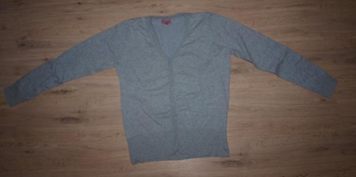 Grijs Vest (L), Kleding | Dames, Truien en Vesten, Gedragen, Maat 42/44 (L), Grijs, Ophalen of Verzenden