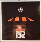 LP platen, Cd's en Dvd's, Ophalen of Verzenden, 2000 tot heden, Gebruikt, 12 inch