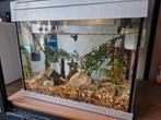 Complete aquarium exclusief vis, Ophalen of Verzenden, Zo goed als nieuw, Leeg aquarium