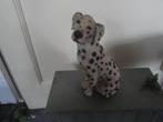 dalmatier hondje, Ophalen of Verzenden, Nieuw, Dier