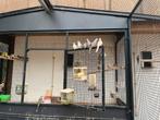Diamantduifjes, Dieren en Toebehoren, Vogels | Duiven, Geslacht onbekend