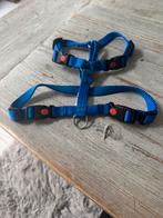 Tuigje voor puppy ( Labrador Doodle), Dieren en Toebehoren, Ophalen of Verzenden