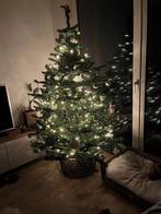 Kunst Kerstboom, Ophalen