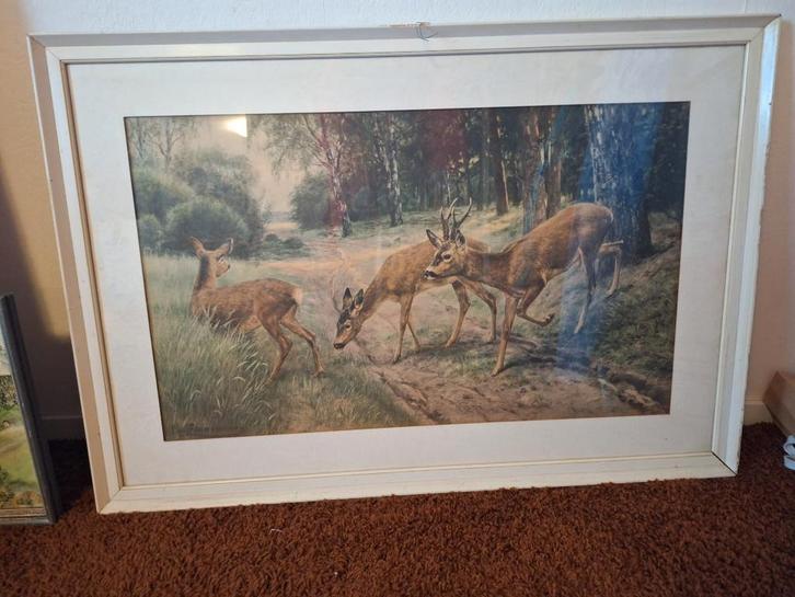 Schilderij  met 3 reeën in een bosrijke omgeving, Antiek en Kunst, Kunst | Schilderijen | Klassiek, Ophalen