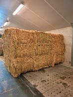 Grote pakken hooi, Dieren en Toebehoren, Ophalen