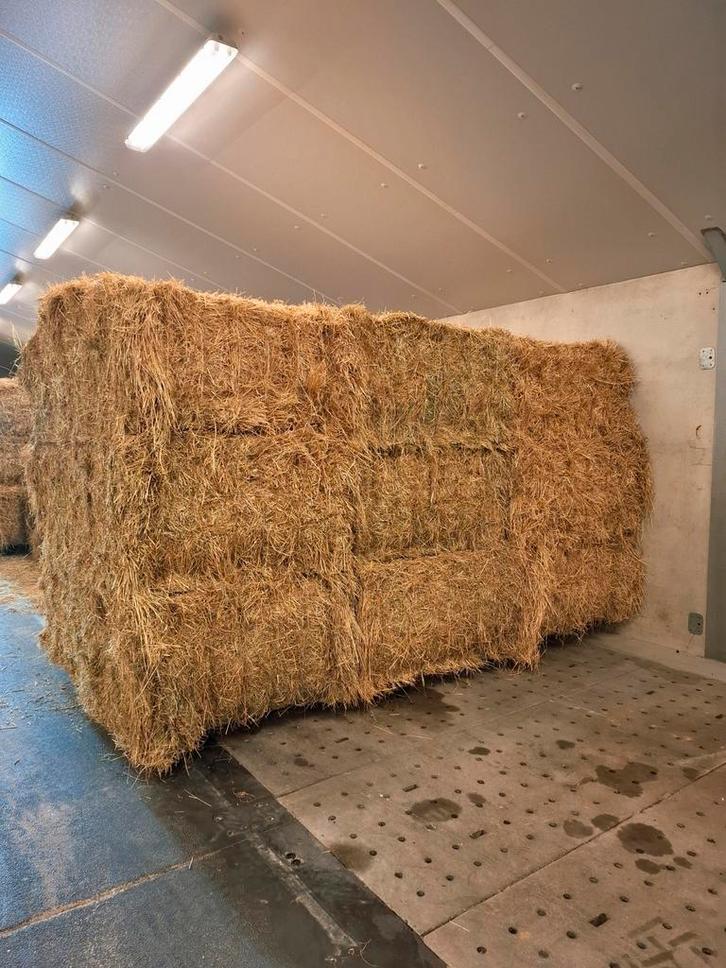 Grote pakken hooi, Dieren en Toebehoren, Dierenvoeding, Ophalen