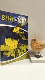 Murray, Andrew; Blijf in Mij, Boeken, Ophalen of Verzenden, Gelezen, Christendom | Protestants