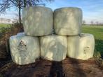 Ronde balen 11 stuks natuurgras, Dieren en Toebehoren, Dierenvoeding, Ophalen of Verzenden, Vee