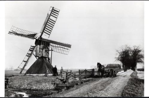 (F236) Ansichtkaart Leeuwarden molen Kalverdijkje 1933 repro, Verzamelen, Ansichtkaarten | Nederland, Ongelopen, Friesland, 1960 tot 1980