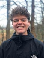 Bijles Wiskunde A,B, Economie, Bedrijfskunde en meer!, Diensten en Vakmensen, Bijles, Privé-les en Taalles, Privéles, Bijles