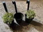 3x balkon bloempot, Tuin en Terras, Ophalen, Balkon, Rond, Zo goed als nieuw