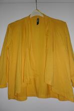 Leuk knalgeel vestje. Maat s, Kleding | Dames, Truien en Vesten, Colours of the world, Geel, Ophalen of Verzenden, Zo goed als nieuw