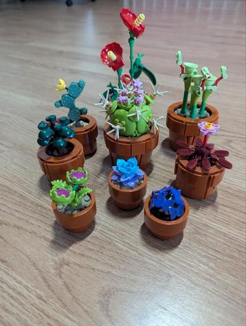 Mooie set LEGO lcons 10329 Miniplantjes Botanical beschikbaar voor biedingen