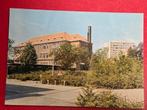 Druten Bolders Hof, Verzamelen, Ansichtkaarten | Nederland, Ophalen of Verzenden, 1940 tot 1960, Groningen