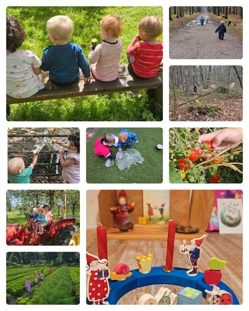 Geregisteerd gastouder heeft plek vrij, Diensten en Vakmensen, Oppas en Kinderopvang