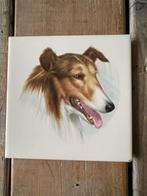 Wandtegeltje / tegel hond. Collie / Lassiehond tegel., Ophalen