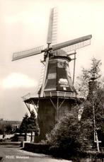 Peize Molenpad met de molen # 12, Ophalen of Verzenden, 1960 tot 1980, Ongelopen, Drenthe