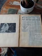 Oude krantenknipsels Beatrix en Claus, Ophalen of Verzenden, Onbekend