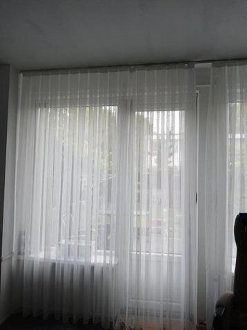 Vitrage 540 x256  beschikbaar voor biedingen