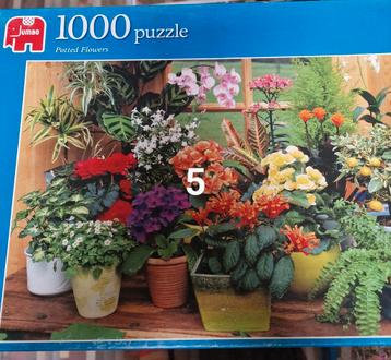 Puzzels beschikbaar voor biedingen